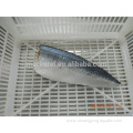 Frozen Seafood BQF Frozen Seafood Pacific Mackerel Fillet